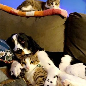 Meet your Posher, Cara